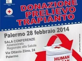 palermo-28-febbraio-il-convegno-la-croce-rossa-italiana-nel-processo-di-donazione-prelievo-e-trapianto