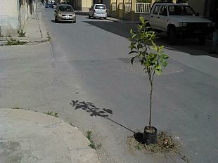 perche-lamentarsi-le-buche-in-citta-alimentano-la-creativita