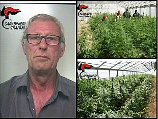 petrosino-i-carabinieri-di-mazara-del-vallo-e-marsala-sequestrano-una-piantagione-di-cannabis-e-arrestano-il-responsabile