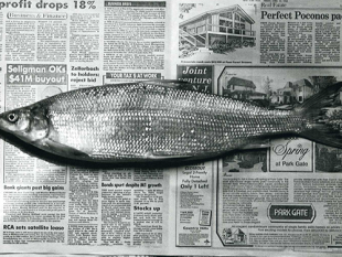 cassa-integrazione-a-zero-ore-al-gds-la-nota-di-assostampa-trapani