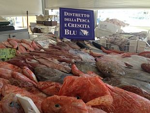 la-pesca-mediterranea-criticita-e-prospettive-all-expo-seafood-di-bruxelles