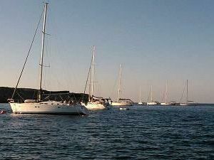 favignana-grande-successo-dei-campi-boe-dell-area-marina-protetta