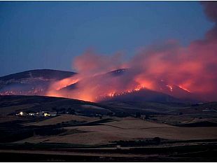 incendi-a-montagna-grande-tranchida-e-pellegrino-vogliono-vederci-chiaro