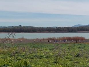 mazara-gli-alunni-dellic-g-grassa-alla-finale-provinciale-di-atletica-leggera-a-paceco