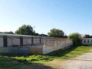 canile-comunale-di-marsala-poche-adozioni-e-increscioso-fenomeno-abbandoni