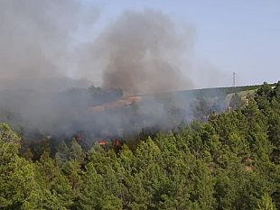 incendio-in-zona-rampinzeri