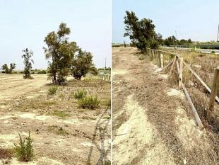 colmata-una-nuova-idea-di-costa-dalla-scerbatura-alla-passeggiata-sul-mare