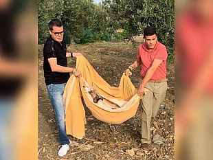 trapani-rizzi-contro-il-sindaco-tranchida-dovrebbe-dimettersi