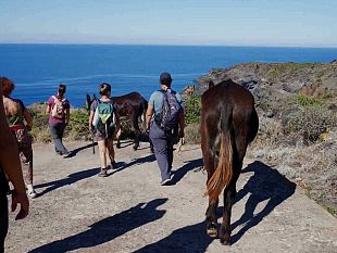 il-progetto-ecosostenibile-pantelleria-asinabile-alla-fiera-cavalli-di-verona