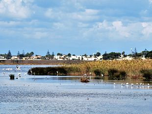 enzo-sciabica-la-laguna-di-tonnarella-e-il-pantano-leone-tra-le-vie-dei-tesori-da-non-perdere