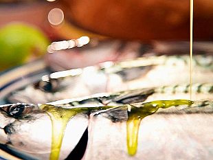 contributi-settore-pesca-salute-e-sicurezza-interventi-per-migliorare-le-condizioni-di-igiene-salute-sicurezza-e-lavoro-dei-pescatori