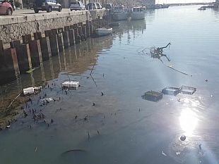 dragaggio-porto-continua-la-giostra-delle-imprese-e-le-elezioni-si-avvicinano