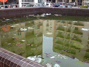 piccione-progettiamo-marsala-molte-fontane-in-citta-sono-inattive-o-senza-manutenzione