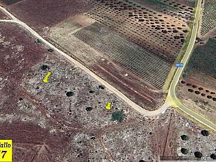 mazara-scoperte-quattro-nuove-tombe-a-grotticella-del-neolitico