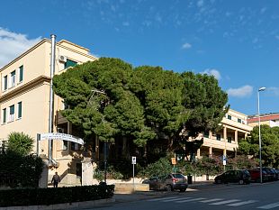 ortopedia-alla-villa-dei-gerani-1065-interventi-di-protesi-in-3-anni-cresce-luso-del-robot-rosa-knee