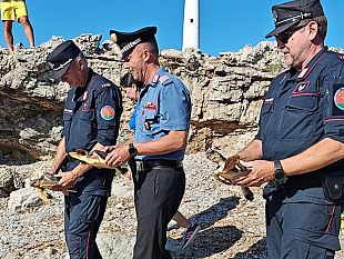 egadi-restituite-al-mare-tre-tartarughe-salvate-dai-carabinieri-una-quarta-nei-prossimi-giorni
