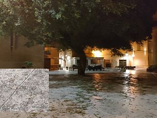 mazara-escrementi-di-uccelli-e-odori-nauseabondi-in-alcune-vie-e-piazze-del-centro