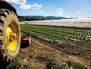 trapani/crisi-agricoltura-trapanese-federagri-e-mcl-incontrano-il-prefetto