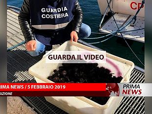 prima-news-5-febbraio-prima-edizione