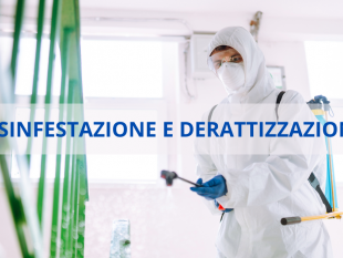 alcamo-dal-13-al-19-giugno-verra-fatta-la-disinfestazione-e-derattizzazione-su-tutto-il-territorio