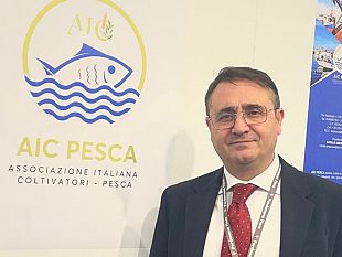 aic-pesca-contro-il-maxi-parco-eolico-offshore-al-largo-delle-isole-egadi