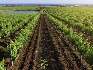 le-modifiche-al-regolamento-edilizio-scatenano-la-polemica-nessuna-risposta