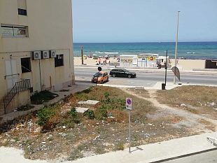 non-bastano-le-palme-ancora-troppi-i-rifiuti-vicino-al-mare