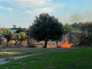 incendio-nel-pomeriggio-in-un-terreno-vicino-fontanelle-milo
