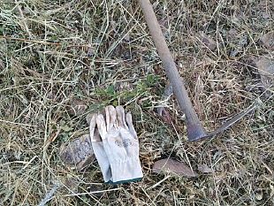 castelvetrano/incendi-in-sicilia-politica-regionale-sotto-accusa-su-modi-e-tempi