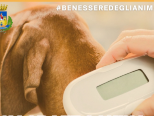 mazara-benessere-degli-animali-avviati-i-controlli-della-polizia-municipale-e-asp