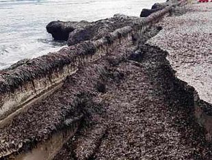 progetto-ripristino-del-tratto-del-lungomare-fata-morgana