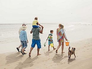 cercasi-operatori-economici-pronti-a-reagire-alla-crisi-diventando-kid-sport-o-pet-friendly