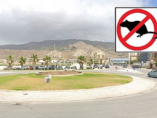 erice-al-via-quinta-derattizzazione-il-comune-raccoglie-segnalazioni
