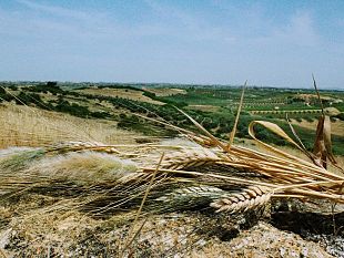 premiati-i-vincitori-della-battuta-fotografica-dellunesco-e-delluif