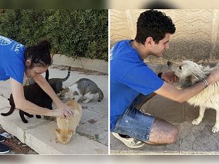 trapani-volontari-oipa-in-strada-per-applicare-antiparassitari-a-cani-e-gatti-senza-casa