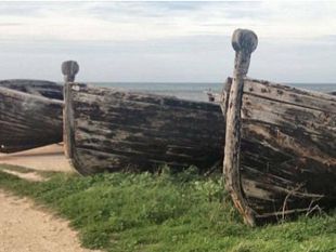 le-muciare-di-bonagia-finalmente-ritornano-a-vivere