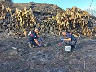 mazara/pantelleria-denunciato-il-presunto-responsabile-di-un-incendio