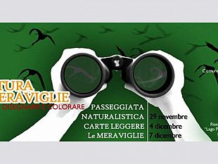 oliver-la-natura-delle-meraviglie-uccelli-da-disegnare-e-colorare-edizione-2015