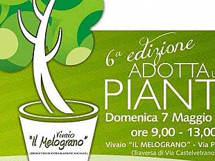 mazara-adotta-una-pianta-2017-si-rinnova-l-appuntamento-al-vivaio-il-melograno