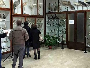 mazara-inaugurate-le-nuove-sale-del-museo-ornitologico