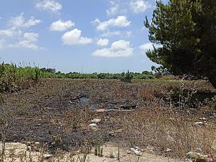 trapani-in-fiamme-un-terreno-a-fontanelle-intervengono-i-vigili-del-fuoco