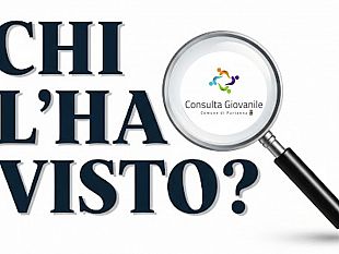 consulta-giovanile-che-e-fine-ha-fatto