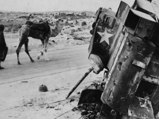 ultime-della-sera-disastri