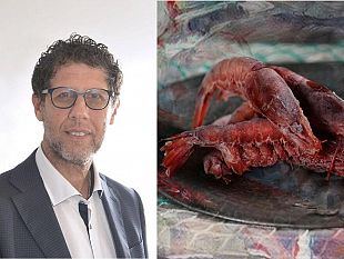 lop-blue-del-gambero-rosso-di-mazara-ottiene-il-riconoscimento-dal-masaf