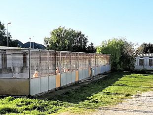 il-comune-di-marsala-ricerca-strutture-veterinarie-esterne-per-assicurare-il-servizio