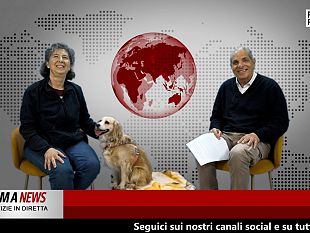 primanews-1-aprile-ospite-laddestratrice-federica-cambiaggio-e-la-cagnolina-cilla