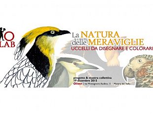 oliver-lab-la-natura-delle-meraviglie-uccelli-da-disegnare-e-colorare