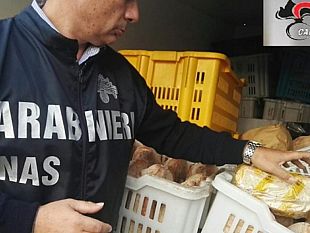 mazara-interrogazione-della-lega-su-operazione-nas-sul-servizio-di-refezione-nelle-scuole-cittadine