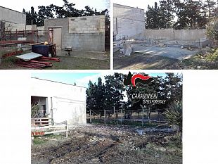 i-carabinieri-del-nucleo-cites-provvedono-a-demolire-una-casa-abusiva-a-nubia