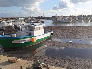 quattro-chiacchiere-con-baldo-puzzo-pescatore